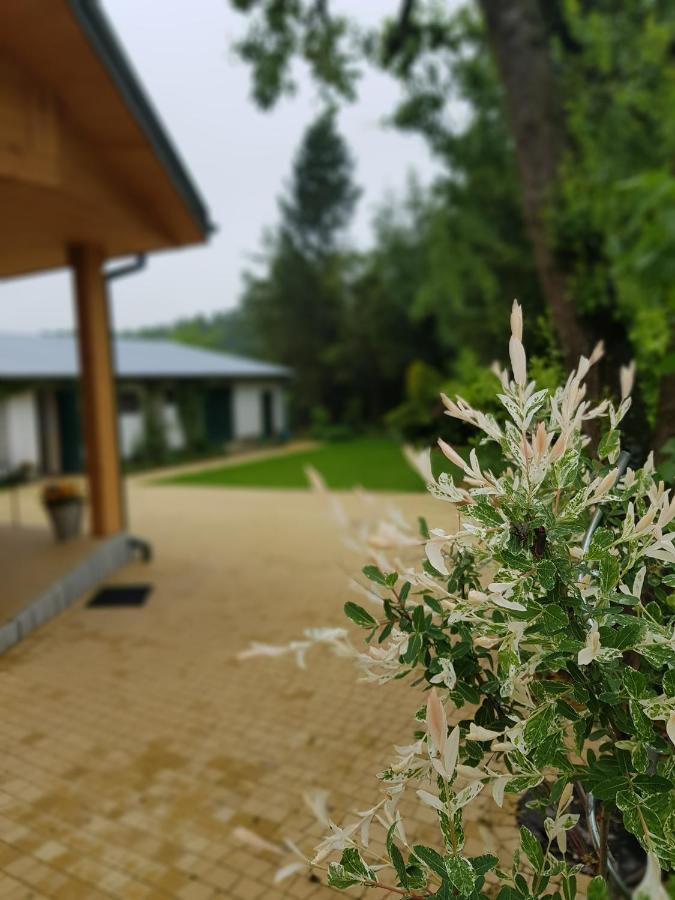 Kraśnik Kosiedliskoヴィラ エクステリア 写真