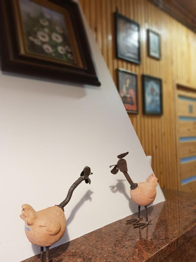 Kraśnik Kosiedliskoヴィラ エクステリア 写真