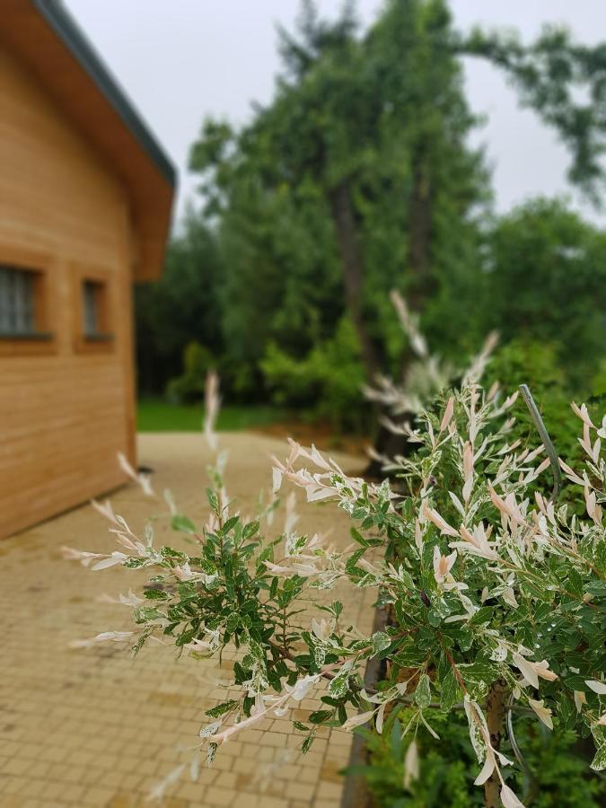Kraśnik Kosiedliskoヴィラ エクステリア 写真