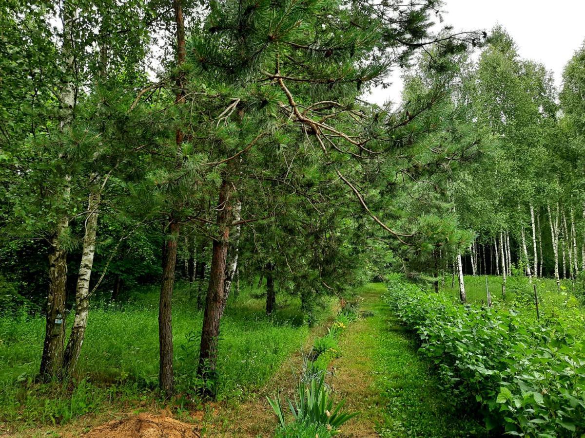 Kraśnik Kosiedliskoヴィラ エクステリア 写真
